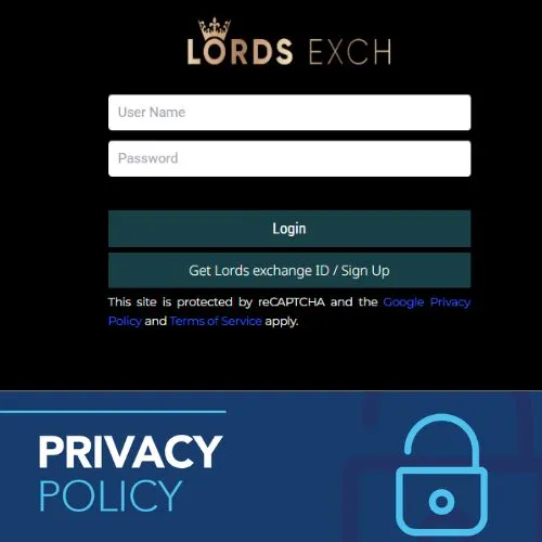 Privacy and Policy by lords